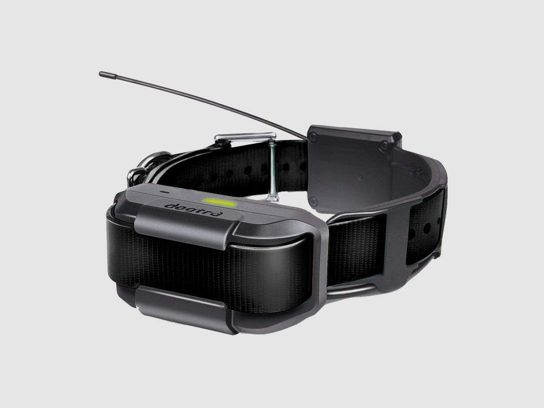 DOGTRA Zusatzhalsband Pathfinder Mini