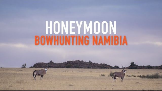 HONEYMOON IN NAMIBIA BOWHUNTING PLAINS GAME SPOT AND STALK