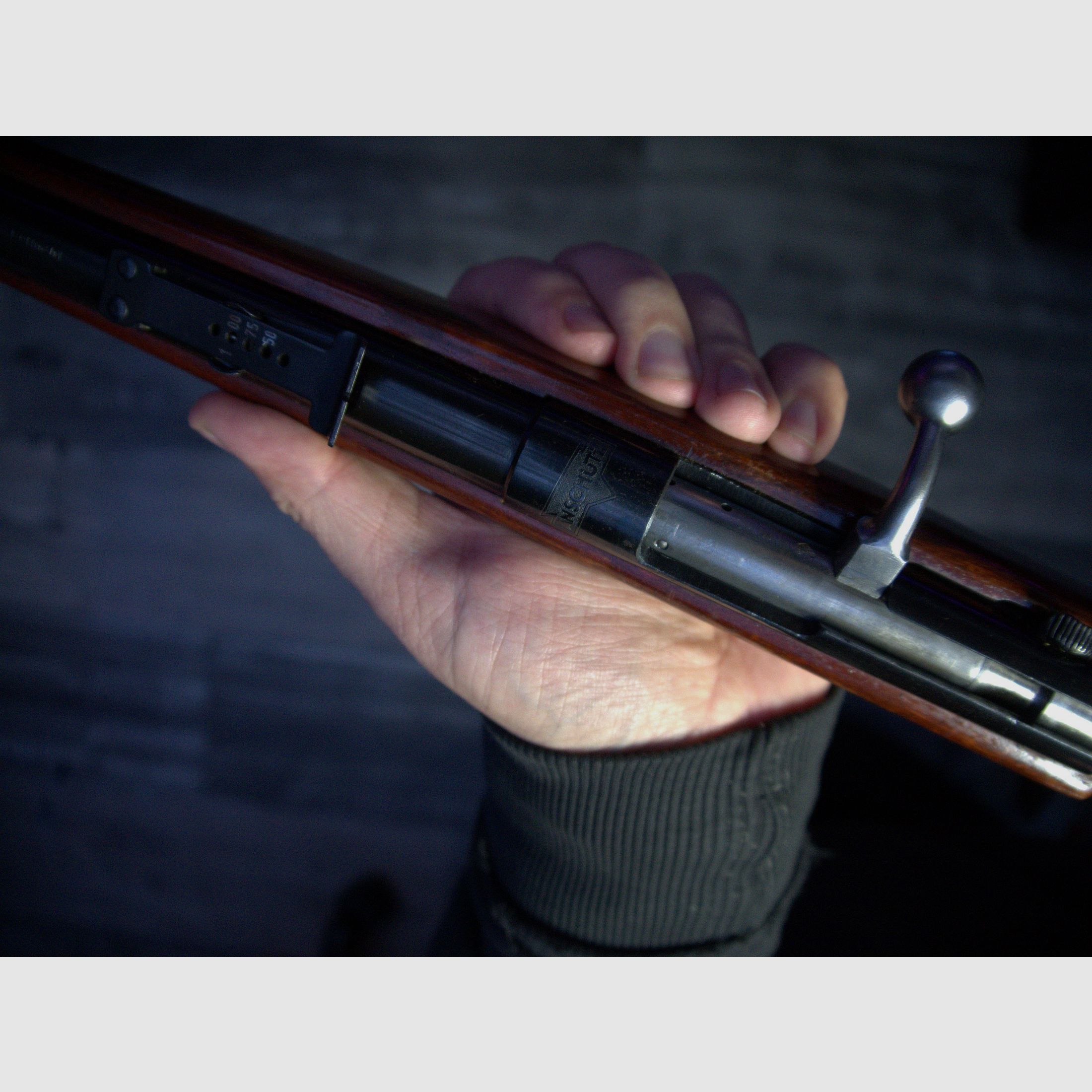 Anschütz Einzellader .22lfb