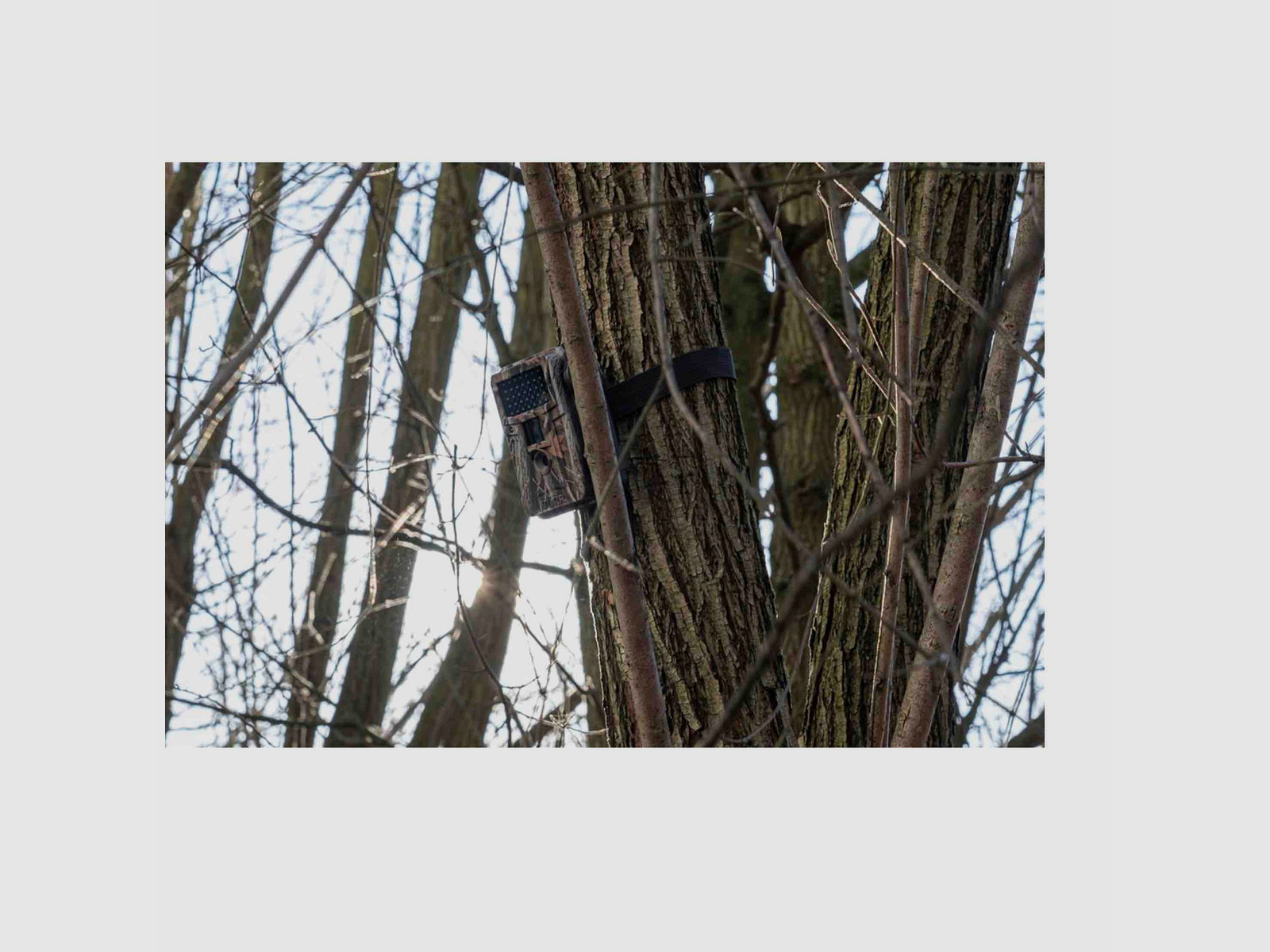 Dörr 204505 Wildkamera Fotofalle Snapshot Mini Black 12 MP HD Camouflage 40 Black LEDs