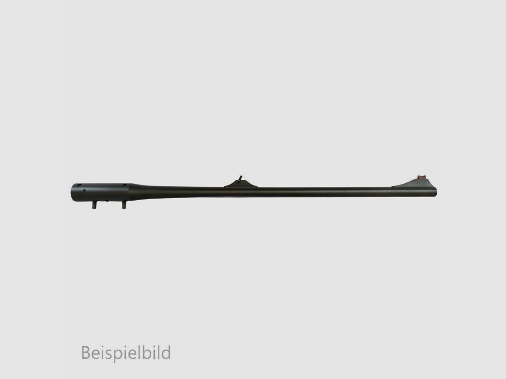 Blaser WL R8