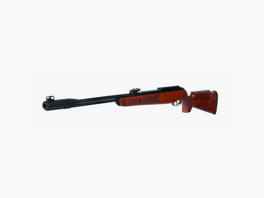 Gamo CFX ROYAL