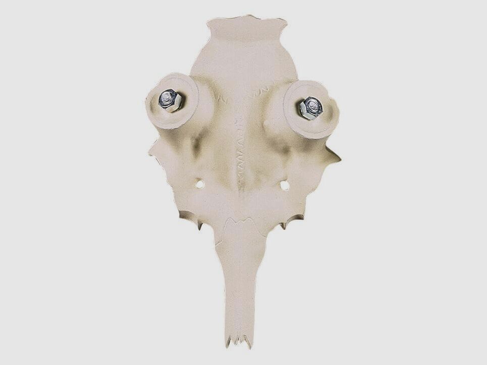 Damhirschschädel aus Aluminium – 35 mm