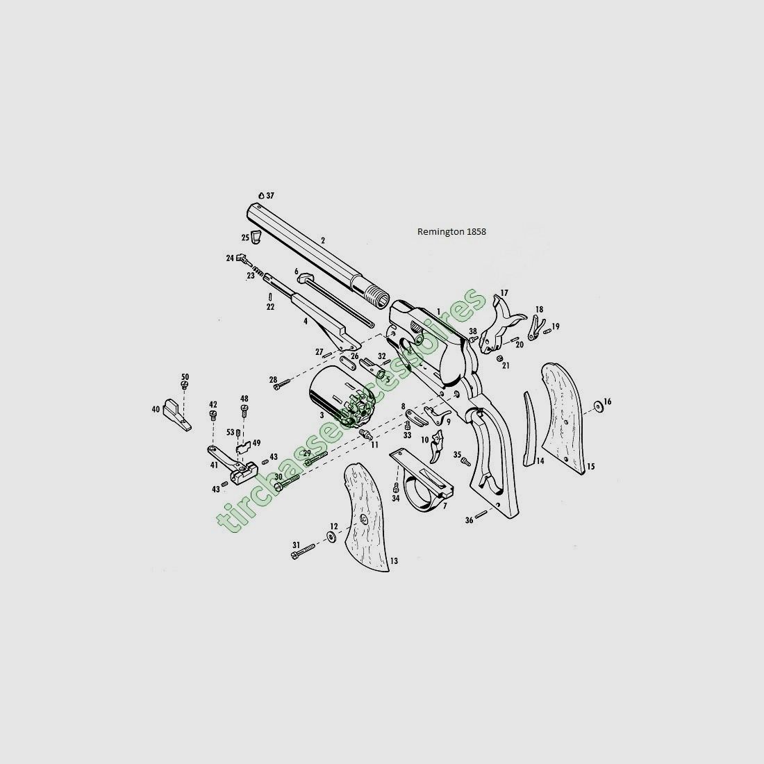 CHIEN REMINGTON 1858 PIETTA, image 3 sur 3
