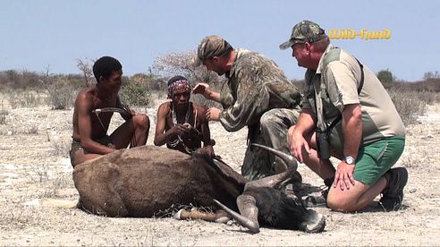 Pirsch-Profis im Busch (WILD UND HUND-Experte Andreas Bach pirscht mit Buschmännern)