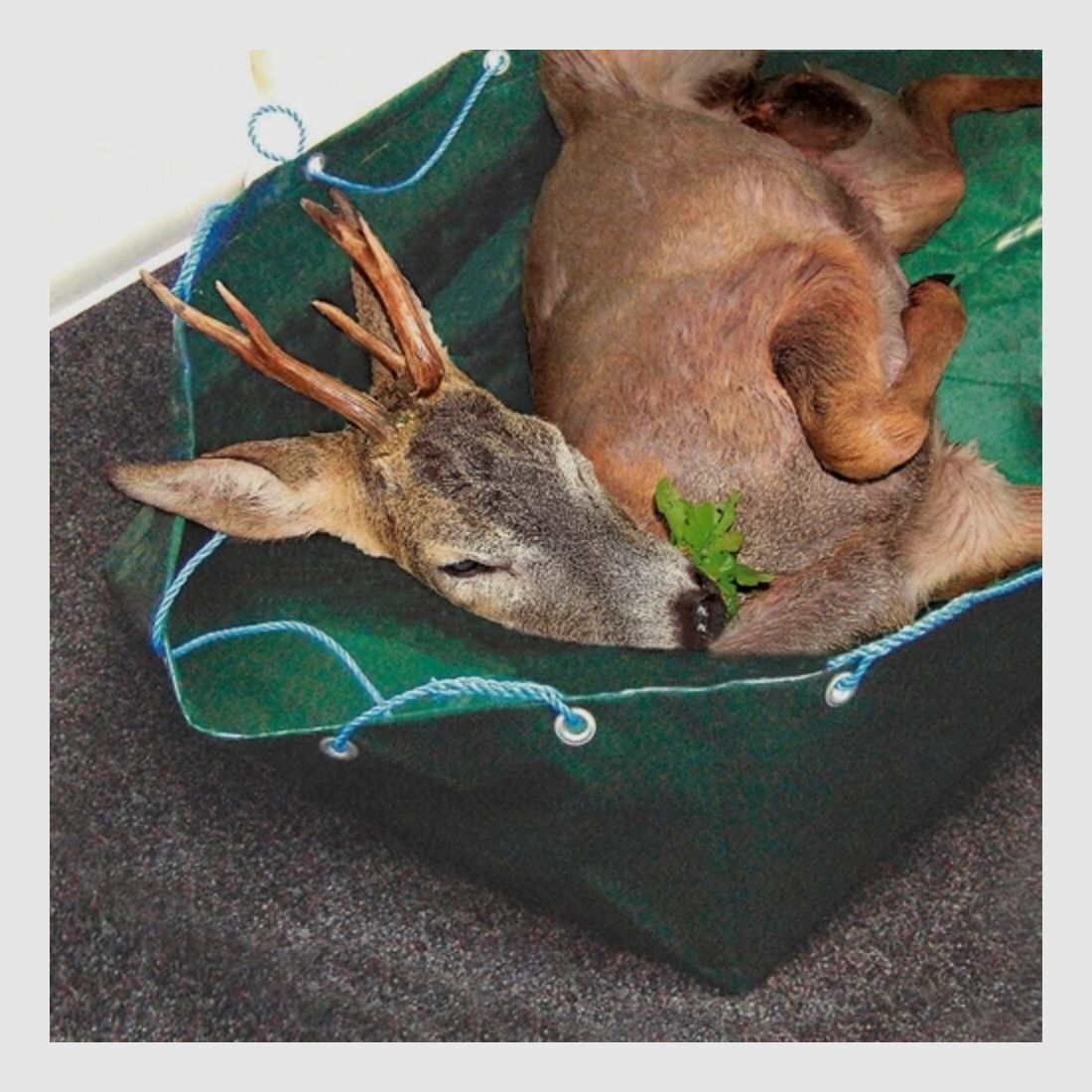 Wald & Forst Wildwanne faltbar