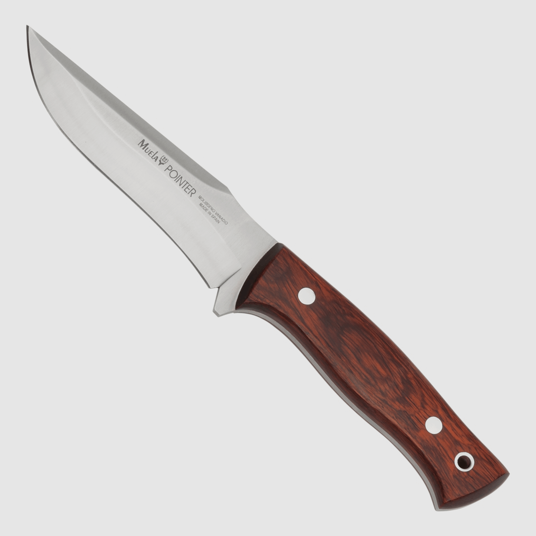 Muela Pointer bois de santal, image 1 sur 2