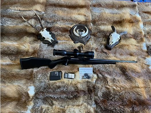 Sauer 202