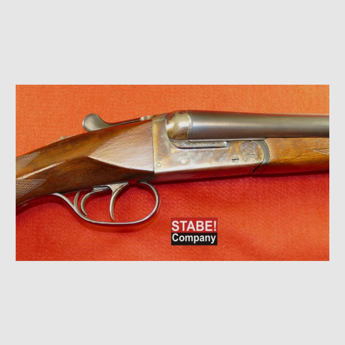 AYA Espagne Busard des roseaux