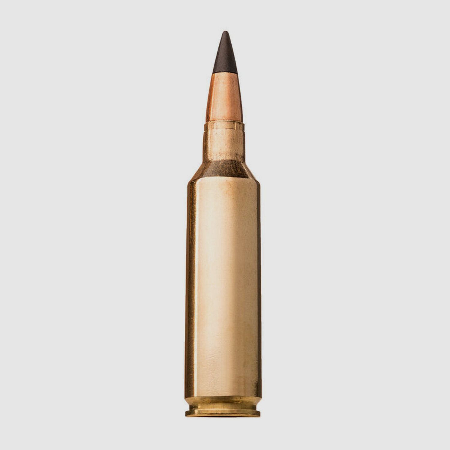 Cartucce 270WSM Extreme Point 130 gr X20, immagine 2 di 3