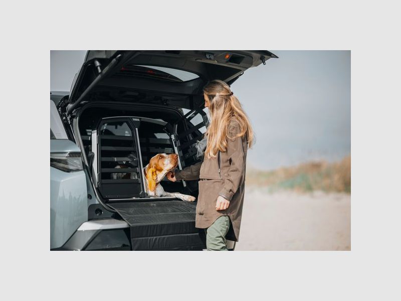 Thule Allax Double M Compact Hundebur B93-H65xD77-82cm, billede 8 af 12