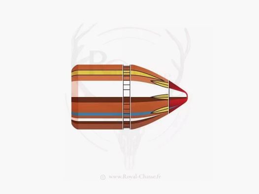100 proiettili cal.45 D.452 225Grs FTX HORNADY