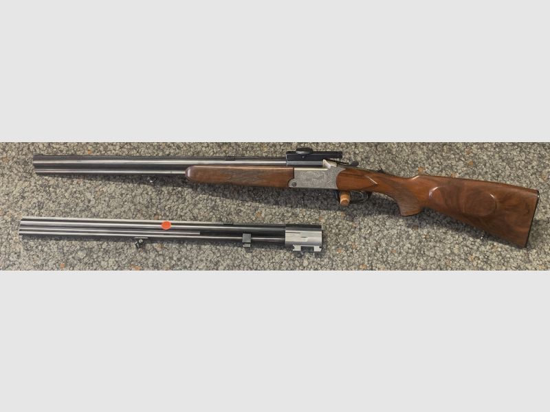 Blaser ES67 Luxus mit zwei Läufen: .243Win, 16/70; 7x65R, 16/70