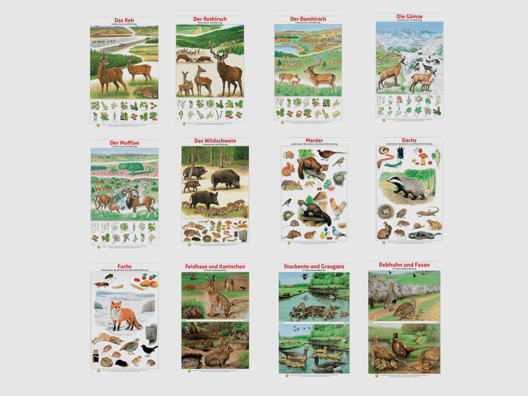 Lernort Natur-Tafel-Set "Heimische Wildtiere - Lebensraum und Nahrung" (12 Tafeln)