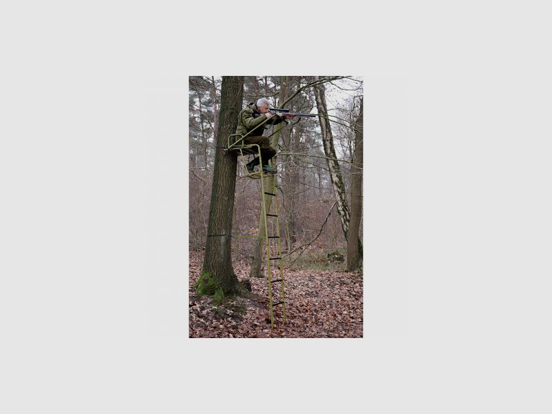 Sedia ad albero cervo |