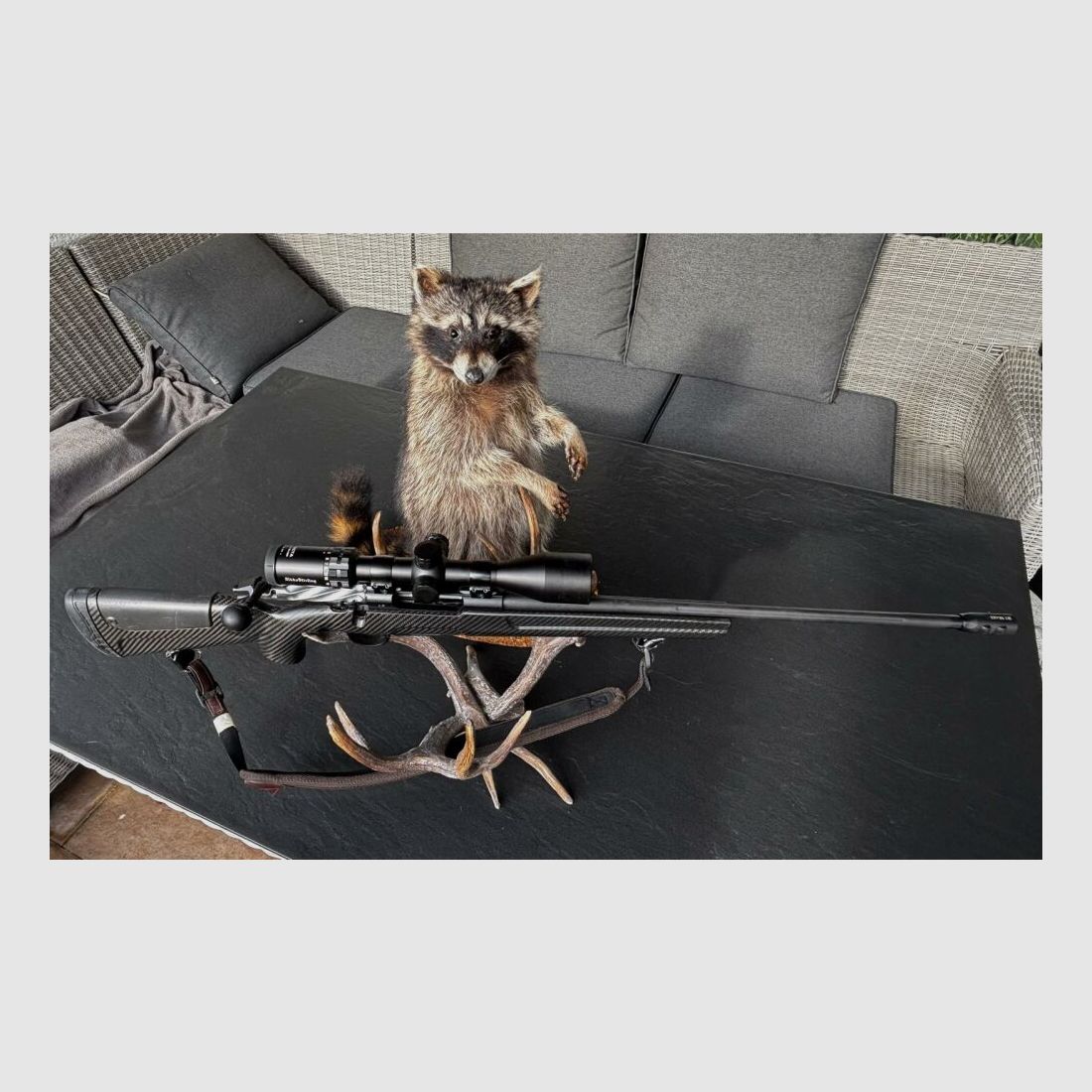 Sabatti Mercury Rover Carbonschaft