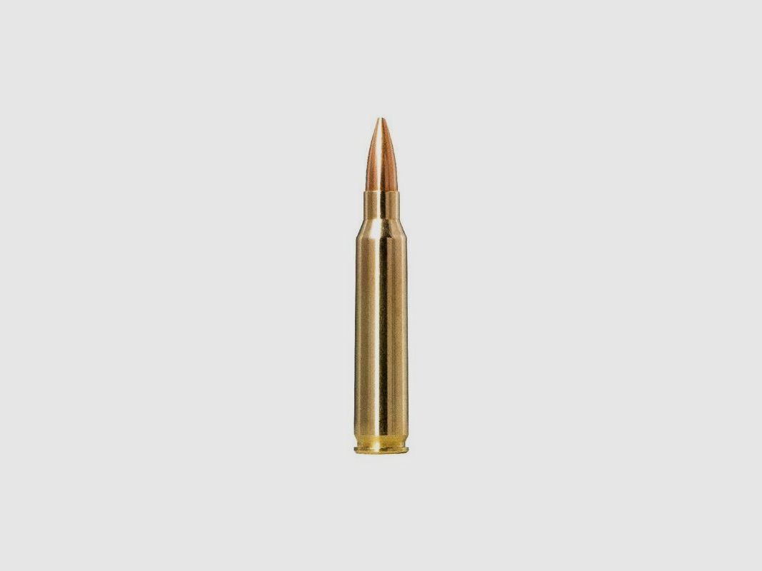 Norma .223 Rem. Golden Target 4,5g/69gr, Bild 4 von 4