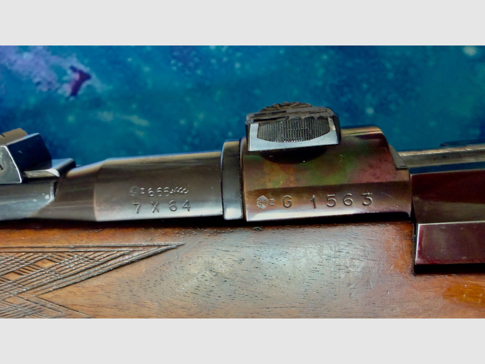 Mauser Model 66 – caliber 7×64 – well-maintained bolt-action rifle with German trigger