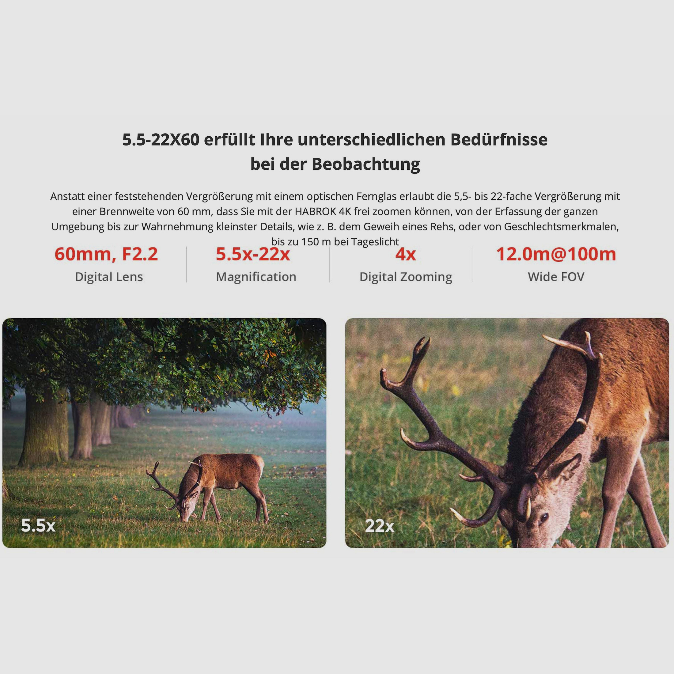 Hikmicro Verrekijker Habrok 4K HE25L 5.5-22x60 Warmtebeeld/Nachtzicht Digitale camera 850Nm 1920 x 1080