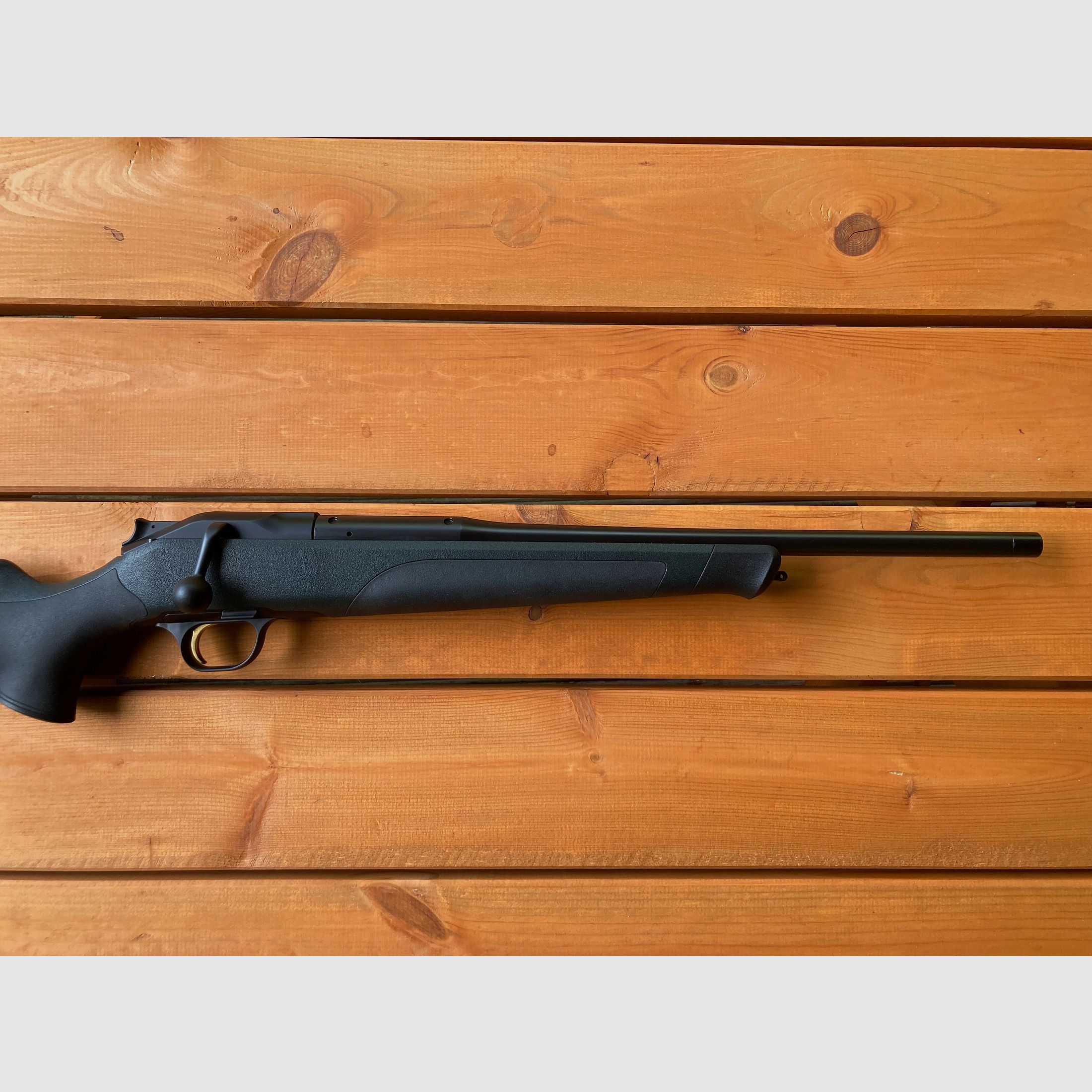 Blaser R8 Professional .308 Win.
