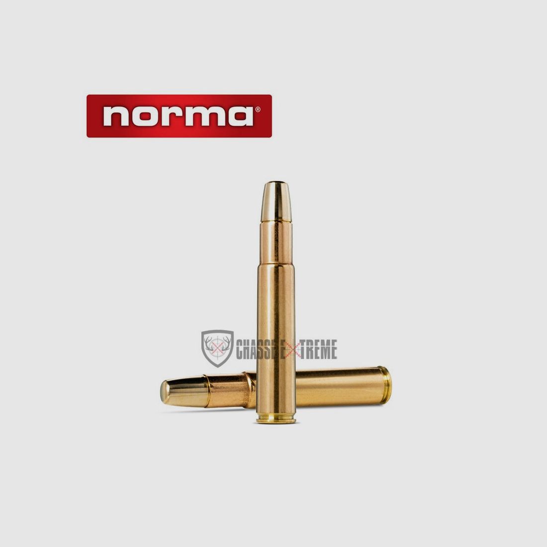 10 Patronen NORMA Solide Kal. 505 Gibbs 540gr, Bild 1 von 2