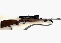 Steyr M Goiserer