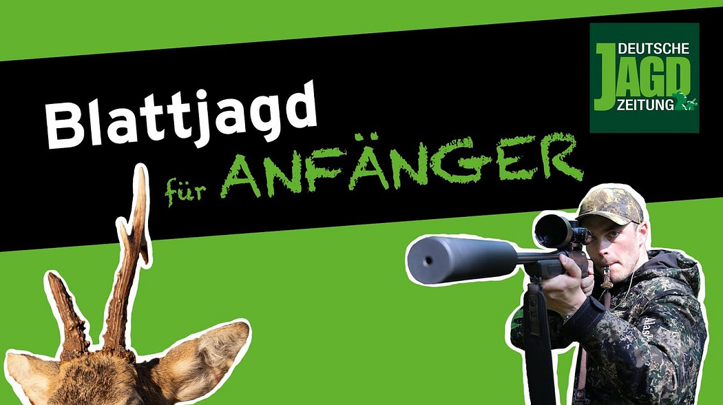 Blatten für Anfänger