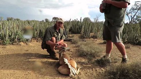 Hunting in Africa Black Springbuck