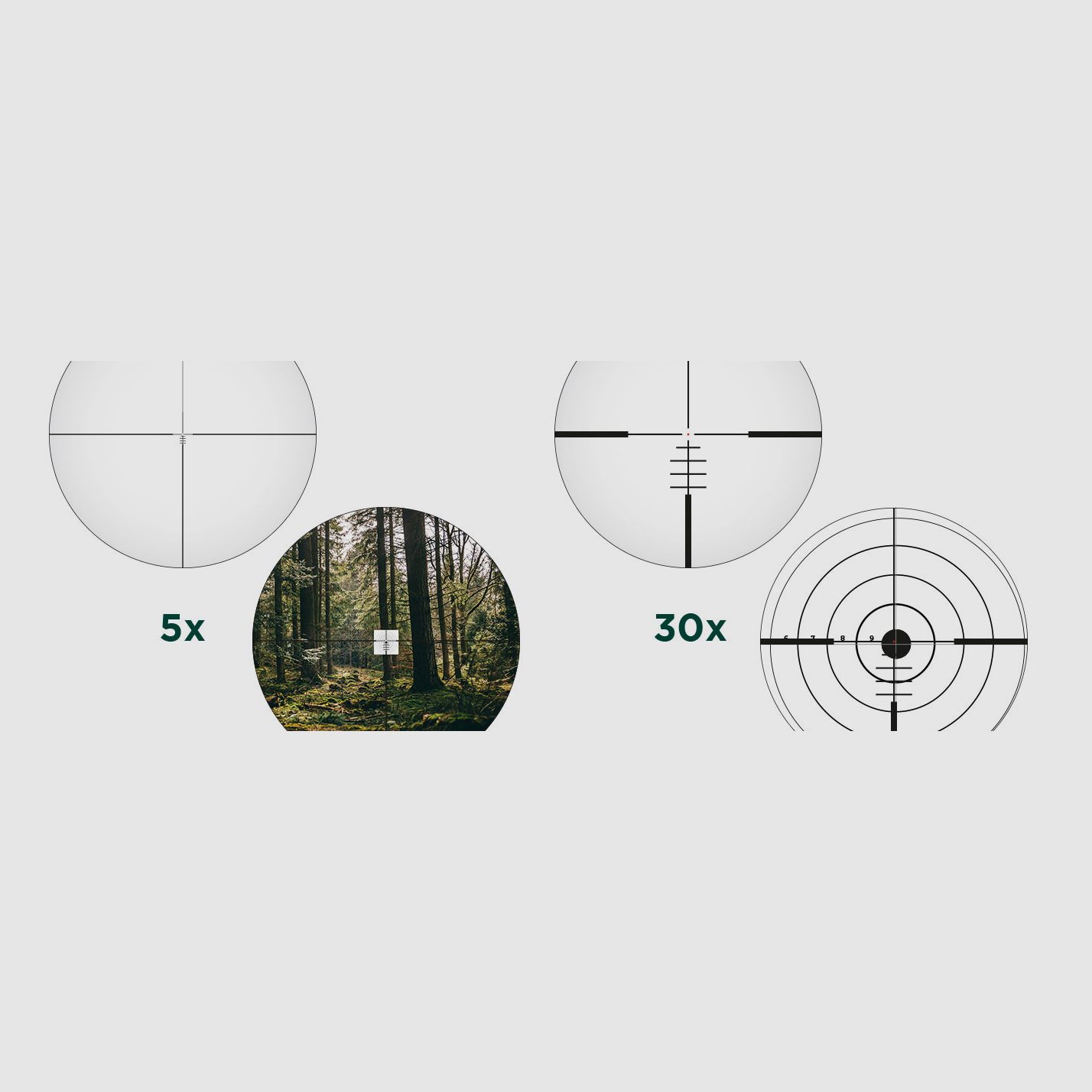 ALPEN Optics APEX XP 5–30x56 BDC