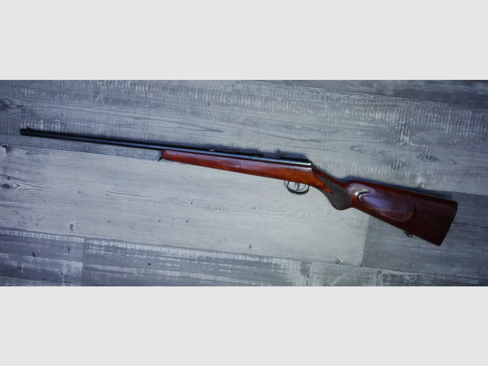 Anschütz single shot .22lr