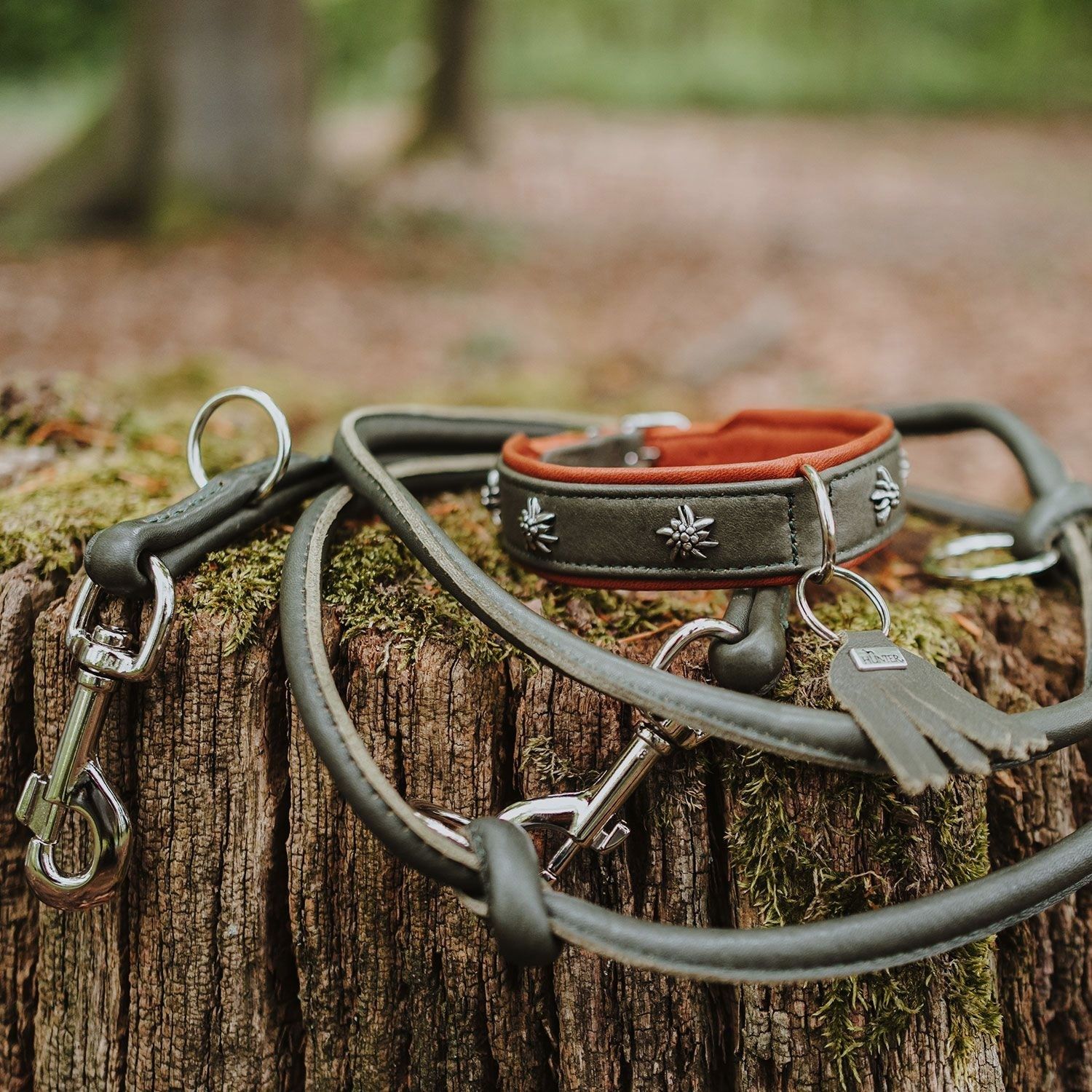 Hunter V-Leine München Round