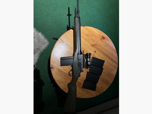 M14 Begadi SAEG