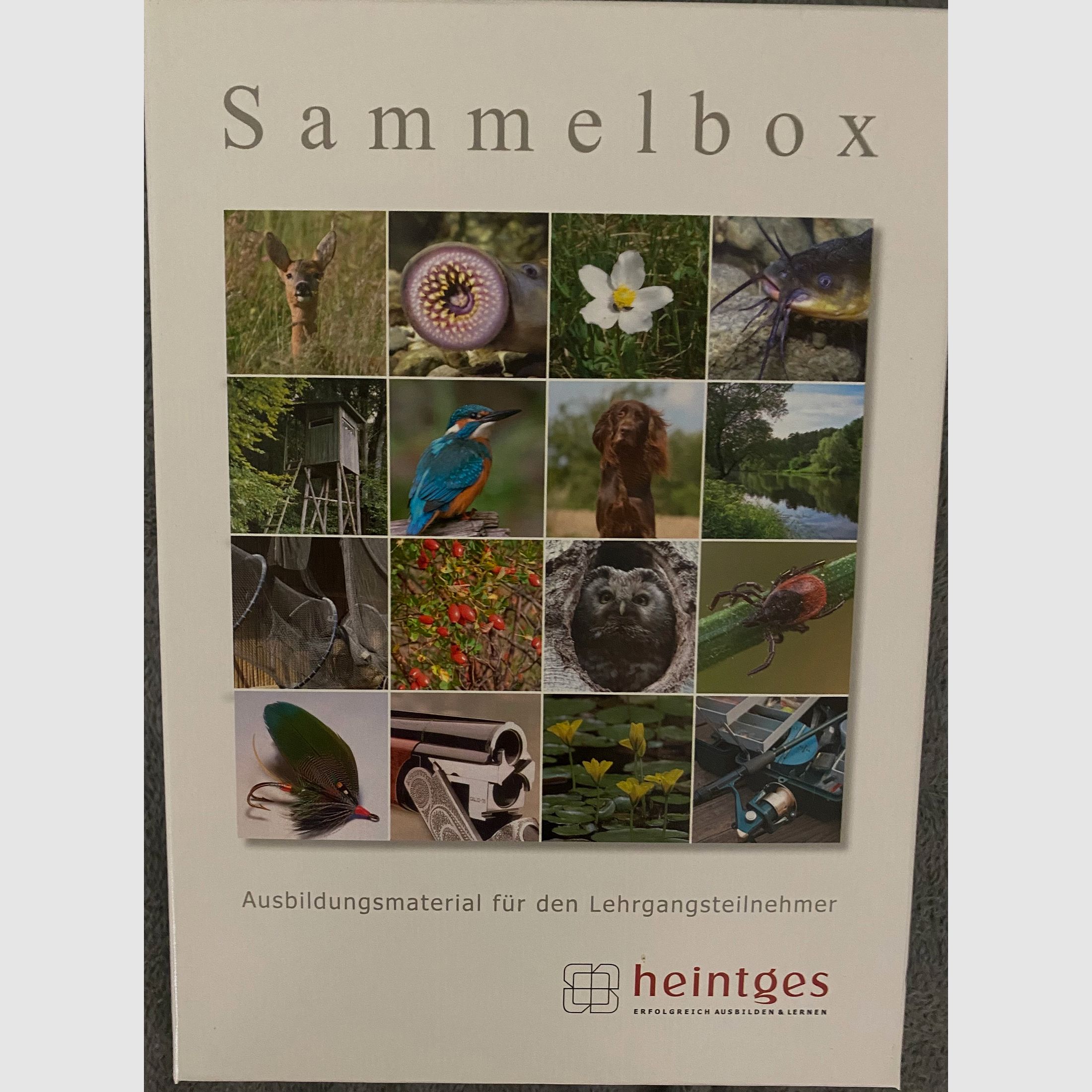 Heintges Sammelbox „Sicher durch die Jägerprüfung“