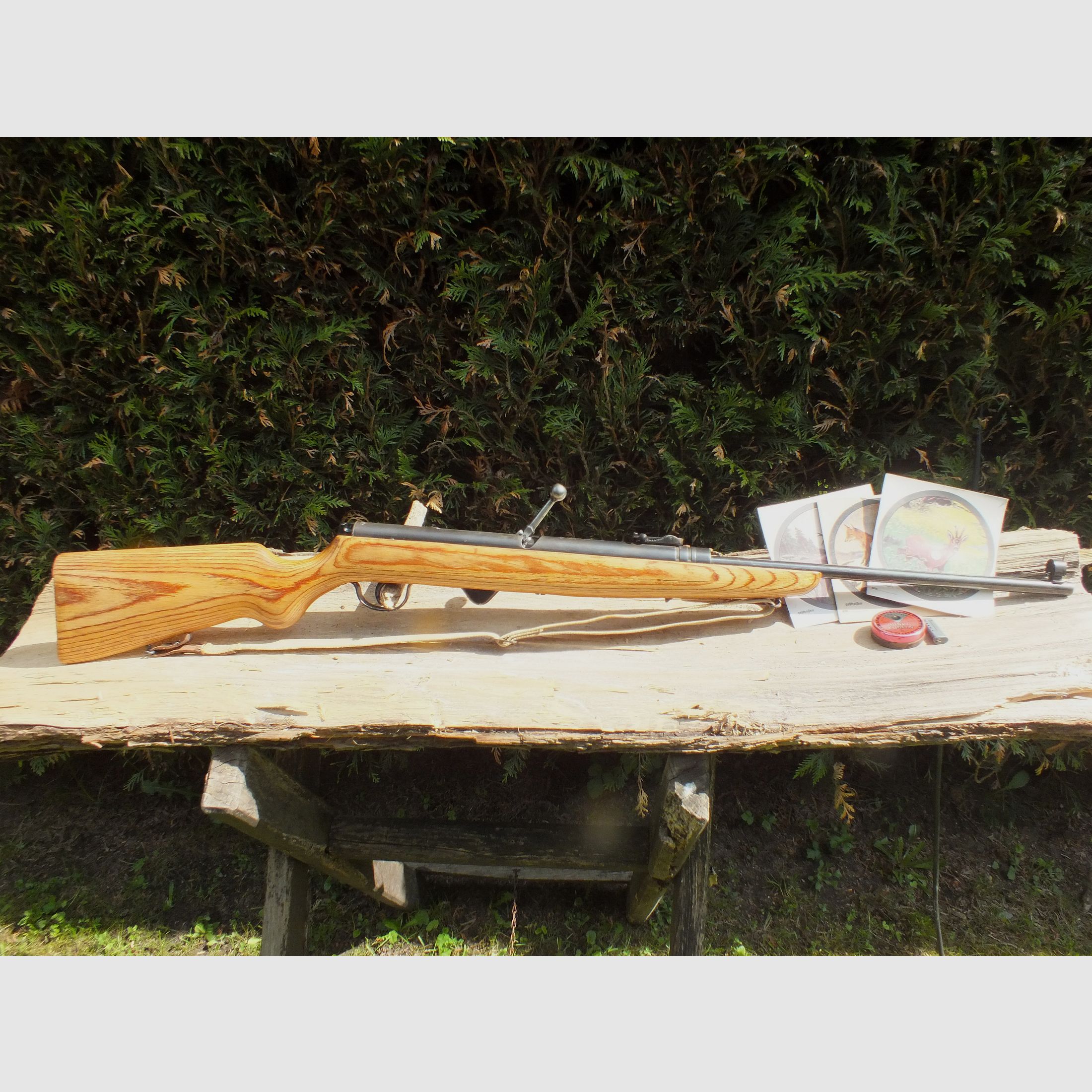 DDR- carabine à air 310-9 avec crosse en bois stratifié. Rare!