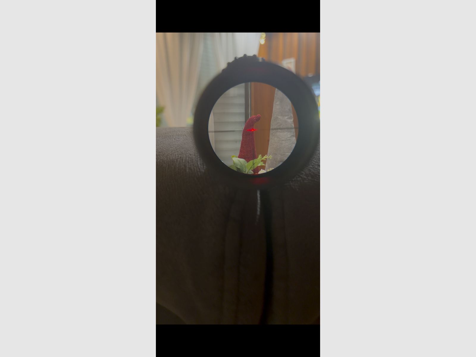 Steiner Ranger 3-12x56