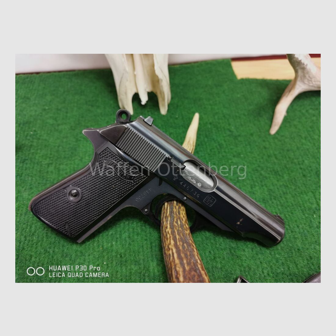 Walther PP