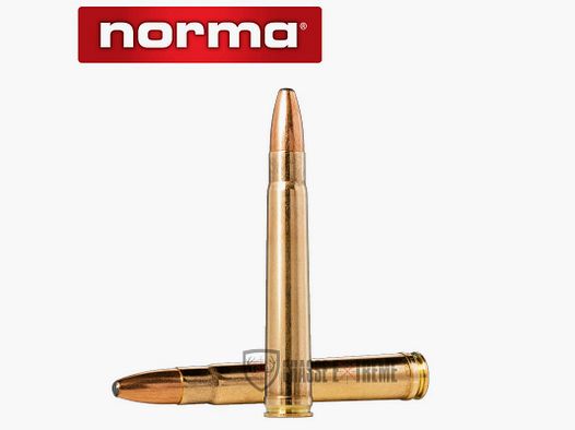 20 cartridges NORMA Cal 375 H&H Mag 300gr Oryx