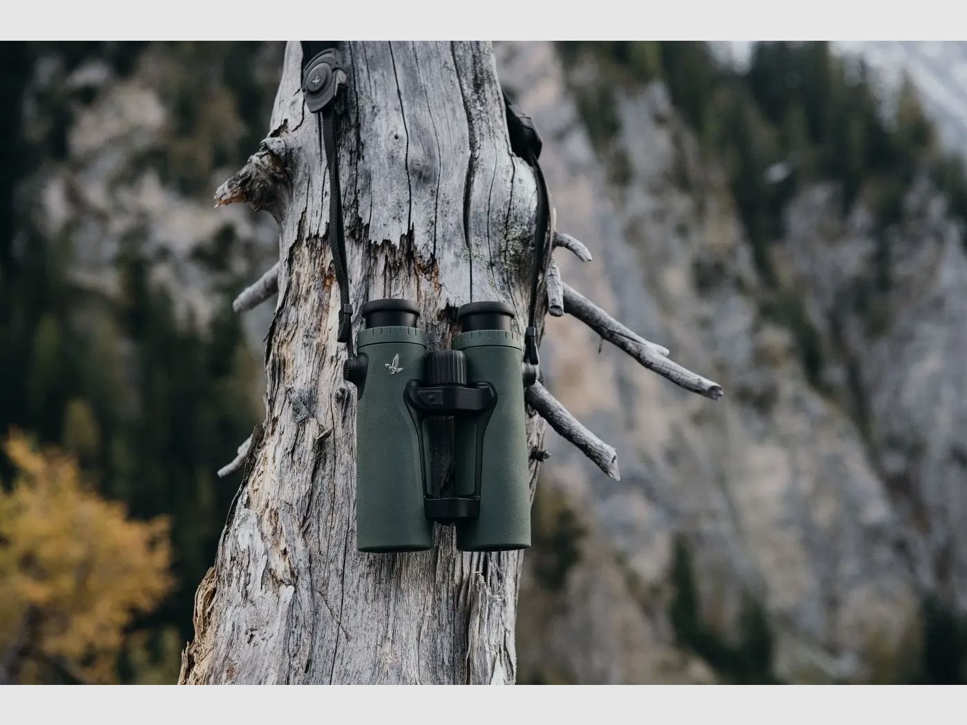 Swarovski Fernglas EL Range 10x42