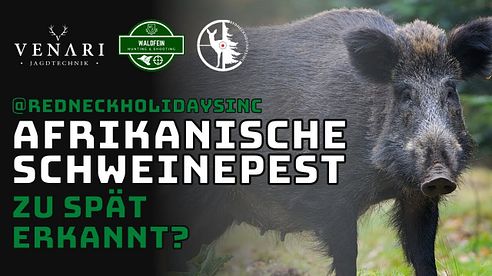 AFRIKANISCHE SCHWEINEPEST im Revier, ein Jäger packt aus! Der Kanzelschnack von Venari und Waldfein