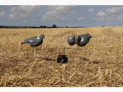 Carrousel d'appât Triple Motion