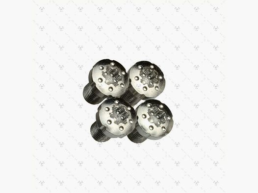 Viti Grip Torx 1911 in acciaio inossidabile al 100%