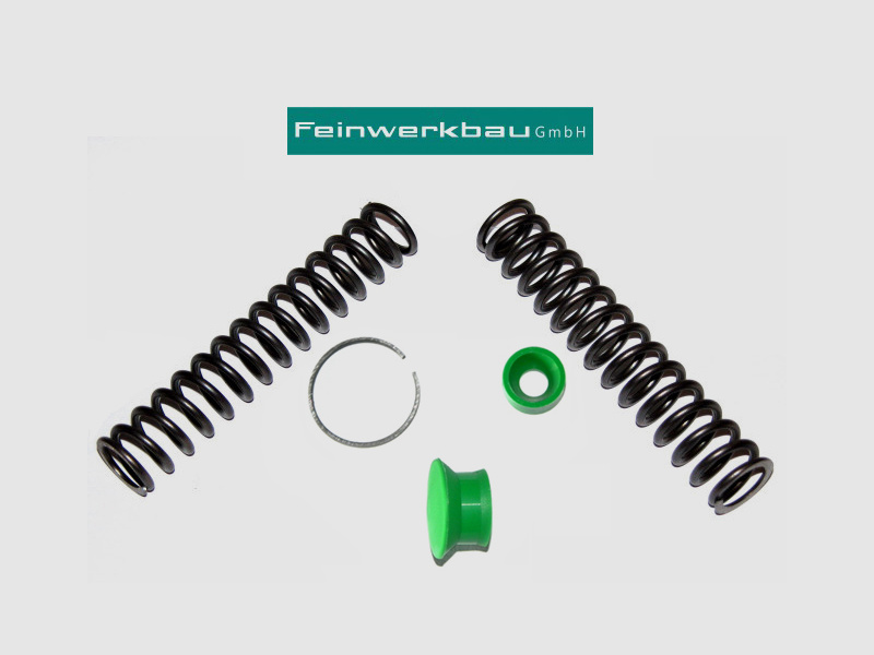 ¤¤¤ FWB LG 300, 300s / Repair Kit / Reanimationsset Feinwerkbau ¤¤¤ VERSANDKOSTENFREI