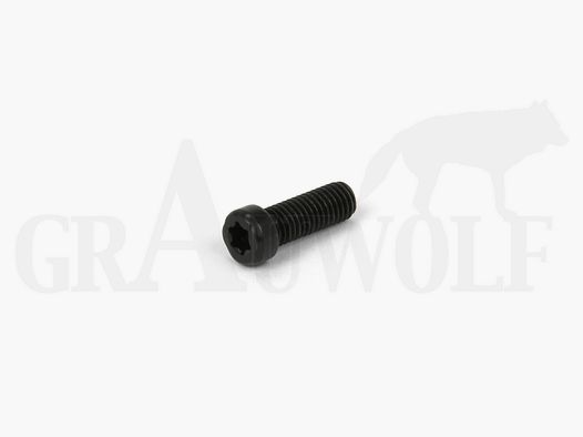 Recknagel US Zylinderschrauben mit Innenvielzahn für Basen UNS 6-48 x 3/8" 1 Stück