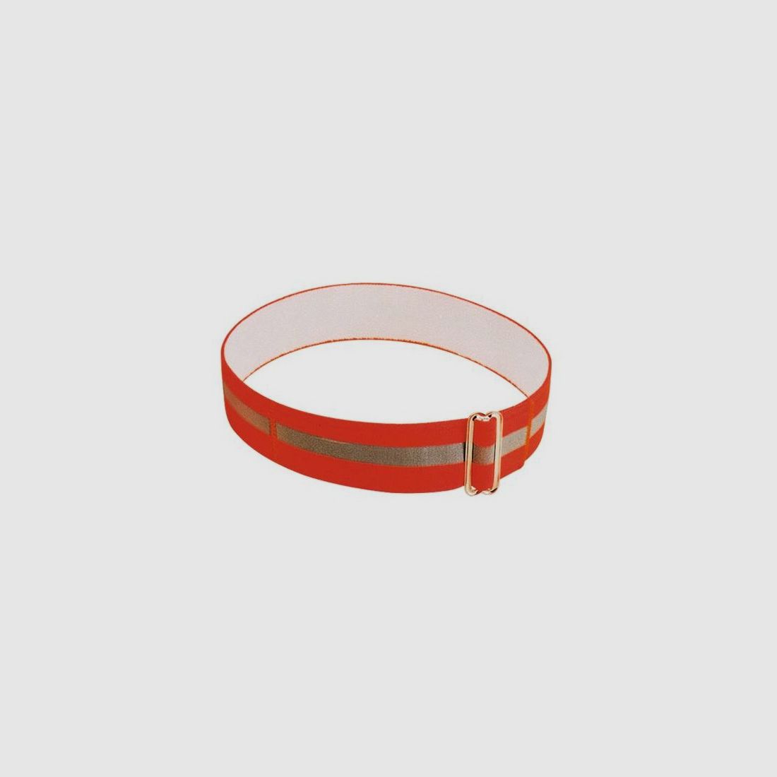Halsband met hoge zichtbaarheid en gesp