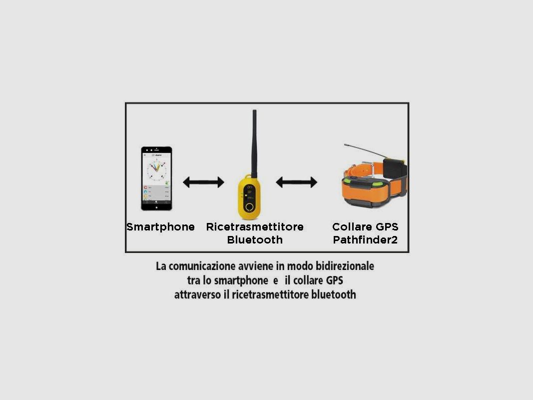 Connettore Bluetooth Pathfinder2, immagine 2 di 2