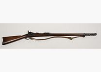 Springfield Mod.1884 Fucile con baionetta a bacchetta sperimentale Articolo 16549