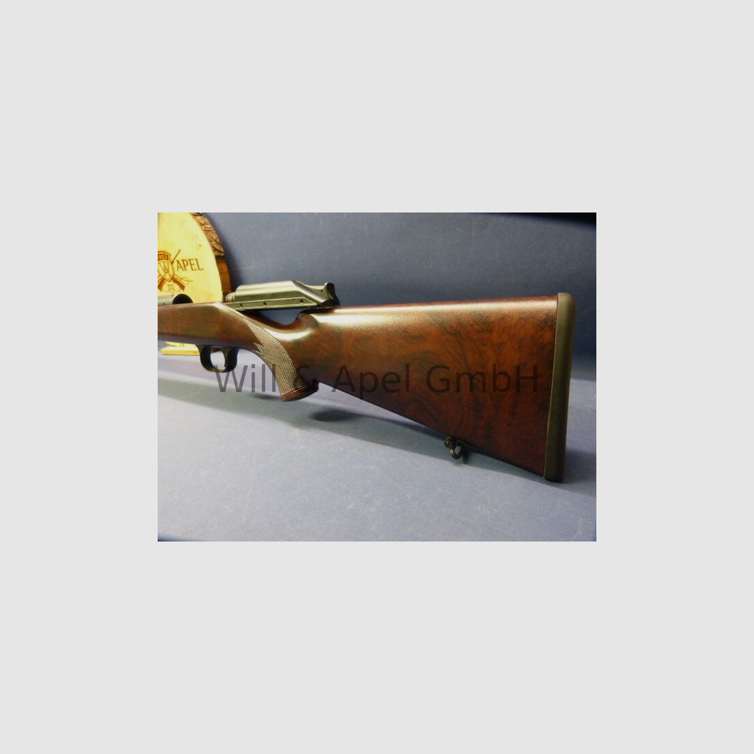 BLASER/ ISNY R93 TIMBER