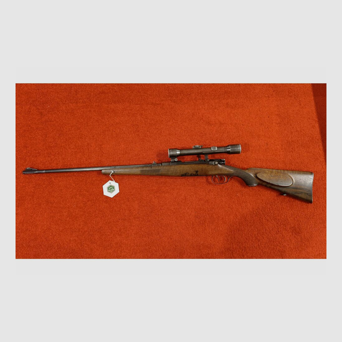 Steyr bez 7x57