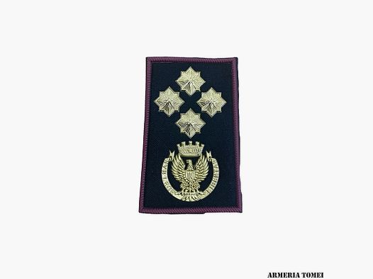 GRADE – Police d’État – Paire de pattes d’épaule pour un premier directeur
