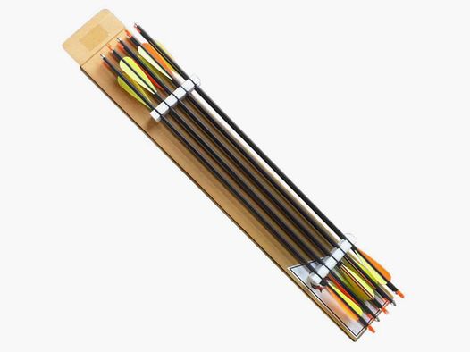 10 strzałek z włókna szklanego 32" (81 cm)